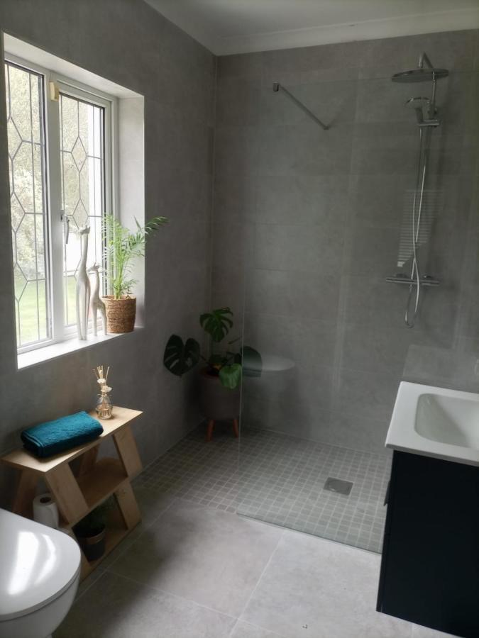 Applelea House Bed & Breakfast Rosslare Harbour Ngoại thất bức ảnh