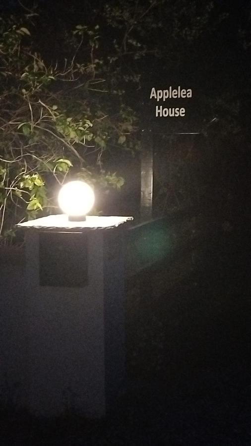 Applelea House Bed & Breakfast Rosslare Harbour Ngoại thất bức ảnh